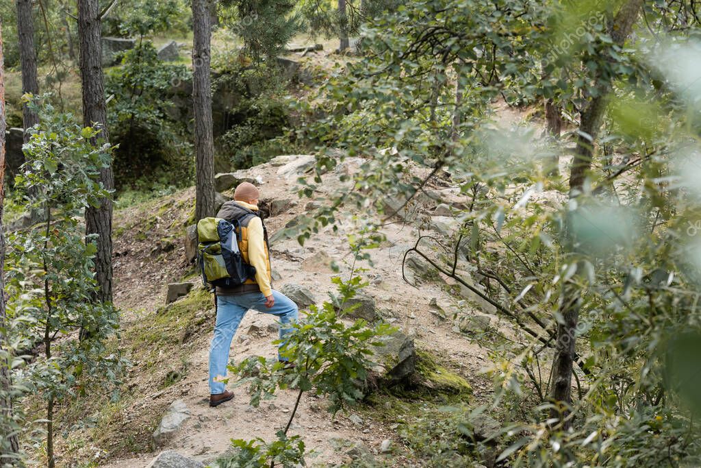 Sentier de randonnée à travers une forêt verdoyante